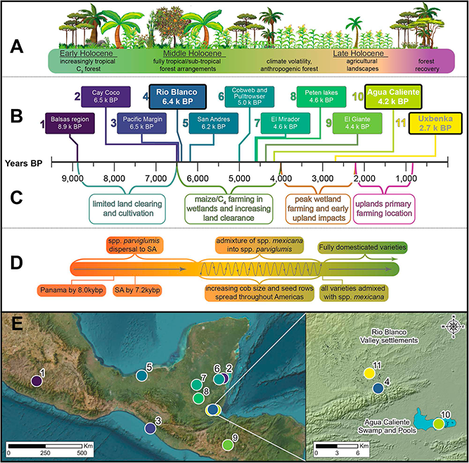 UNM researchers find evidence of early food production in the Maya area