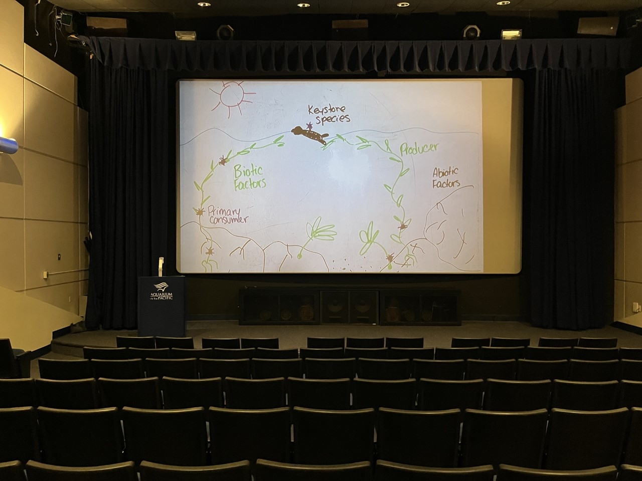 Theater Doc Cam 3