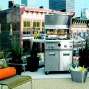 GE Monogram® Grill