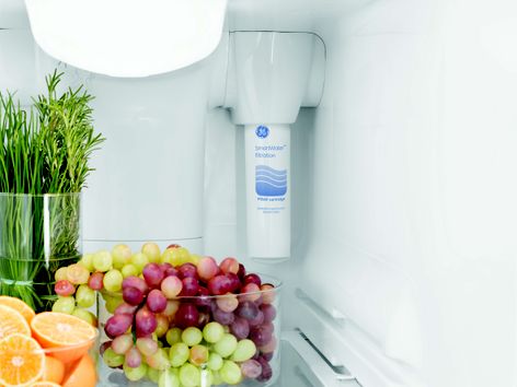 GE® MSWF Water Filter