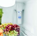 GE® MSWF Water Filter