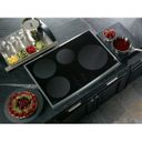 GE induction cooktop