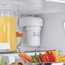 GE® MWF Water Filter