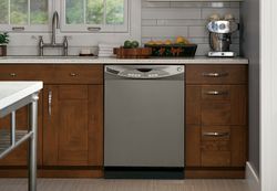 GE® dishwasher with Slate finish (Model GDWF150VES)
