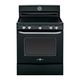GE Artistry Series freestanding range