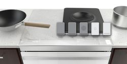 Induction Cooking Modules