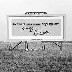 Appliance Park