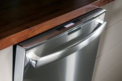 GE Profile™ Series Dishwasher (Model PDT750SSFSS)