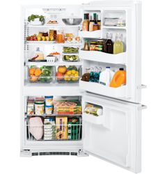 GE Artistry™ Series Refrigerator (Model ABE20EGEWS)