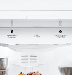 GE Artistry™ Series Refrigerator (Model ABE20EGEWS)