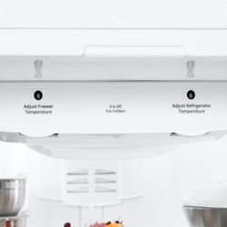 GE Artistry™ Series Refrigerator (Model ABE20EGEWS)