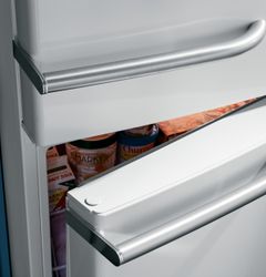 GE Artistry™ Series Refrigerator (Model ABE20EGEWS)
