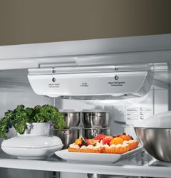 GE Artistry™ Series Refrigerator (Model ABE20EGEWS)