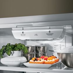 GE Artistry™ Series Refrigerator (Model ABE20EGEWS)