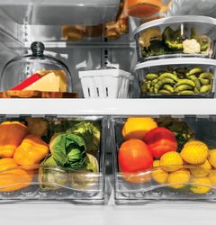 GE Artistry™ Series Refrigerator (Model ABE20EGEWS)