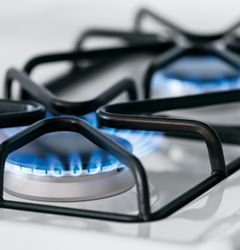 GE Artistry™ Series Freestanding Gas Range (Model AGBS45DEFWS)