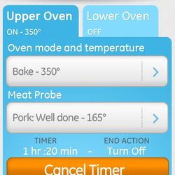 GE Brillion™ Mobile App 