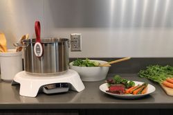 Paragon Induction Cooktop
