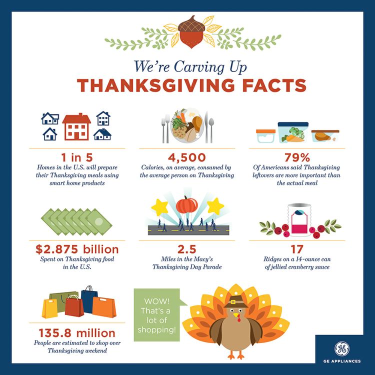 Thanksgiving Facts Infographic.
