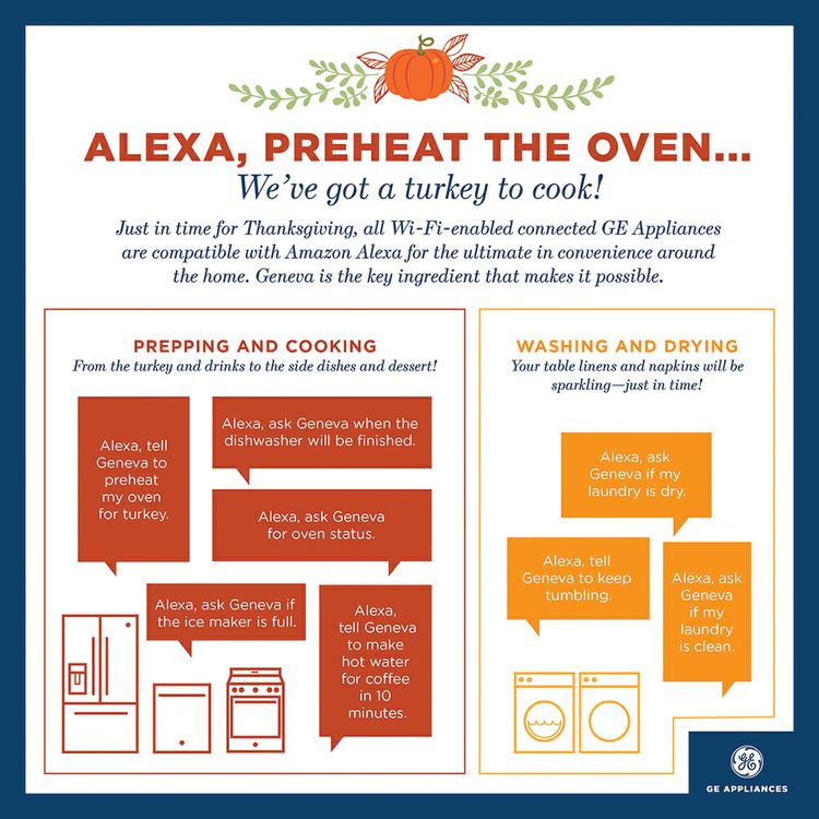 Thanksgiving Commands Infographic.