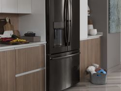 Black Stainless Appliances