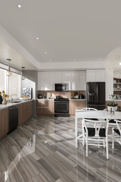 Black Stainless Appliances