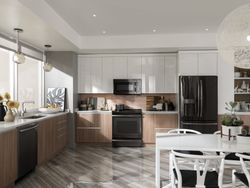 Black Stainless Appliances