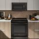 Black Stainless Appliances