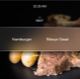 LCD Wall Oven