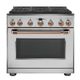 Stainless All Gas Range_Brushed Copper