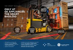 Infographic: Smart Basiloid 