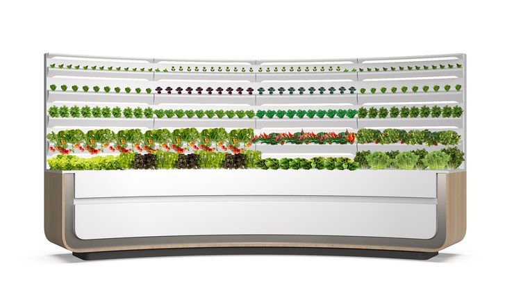 HomeGrown Kitchen Aeroponics Garden_CES 2020