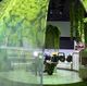 HomeGrown Concept Kitchen Imagines the Future of Food Production and Preparation at CES 2020
