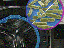 UltraFresh System with Microban® Antimicrobial Technology provides antimicrobial protection on the gasket, dispenser, and draining system to help prevent odors UltraFresh System with Microban® Antimicrobial Technology provides antimicrobial protection on the gasket, dispenser, and draining system to help prevent odors