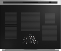Monogram Induction Professional Range