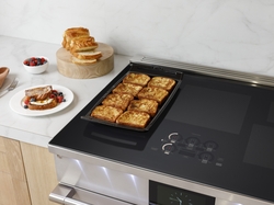 Monogram Induction Professional Range
