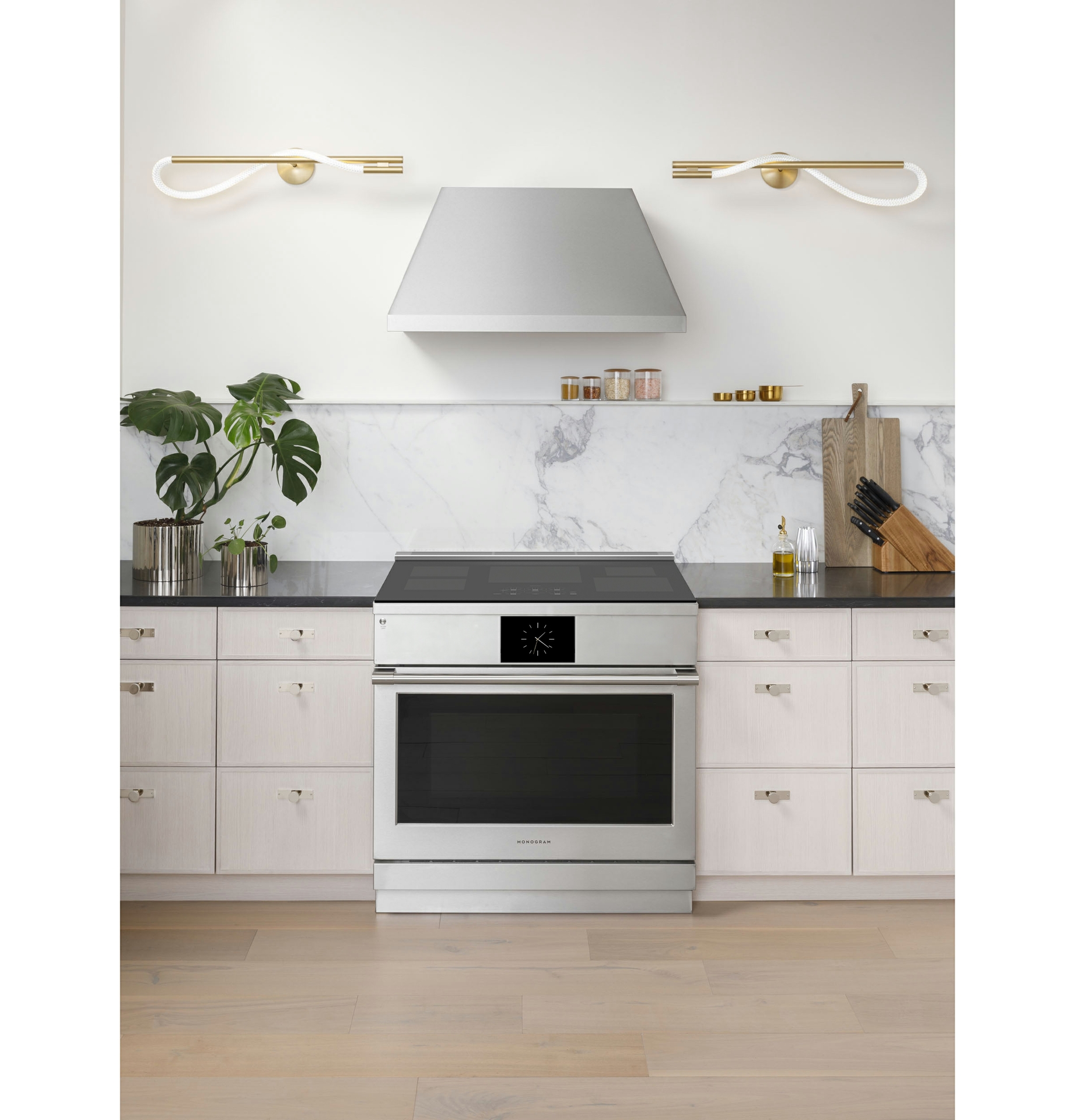Monogram Induction Professional Range
