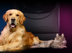 Pet Hair Remover delivers a better clean by removing pesky pet hair from fabrics before the wash