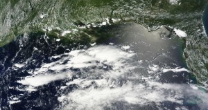 Oil offshore of Alabama and Florida's western panhandle, silver-gray in this June 27 satellite photo courtesy of NASA MODIS Rapid Response Team.