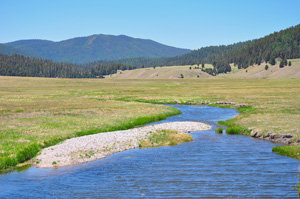 The virtual watershed framework will be tested with data from three well-instrumented watersheds, one in each state. In New Mexico, data will be collected from the Jemez Watershed in the Valles Caldera.