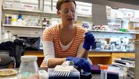 UNM engineering student develops early detection methods for E. coli bacteria