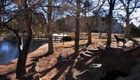 UNM's ‘Spirit of the Lobos’ program roams campus