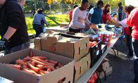 Lobo Food Pantry set for Friday, Feb. 14