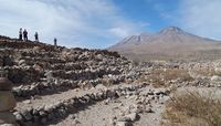 Studying farming in the driest desert in the world