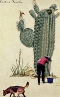 Tsiongas’ work chosen for ‘Women to Watch’ exhibition in D.C.