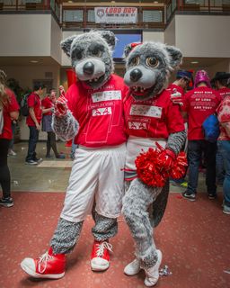 Lobo Day Celebration