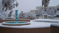 UNM closed Tuesday, Feb. 19