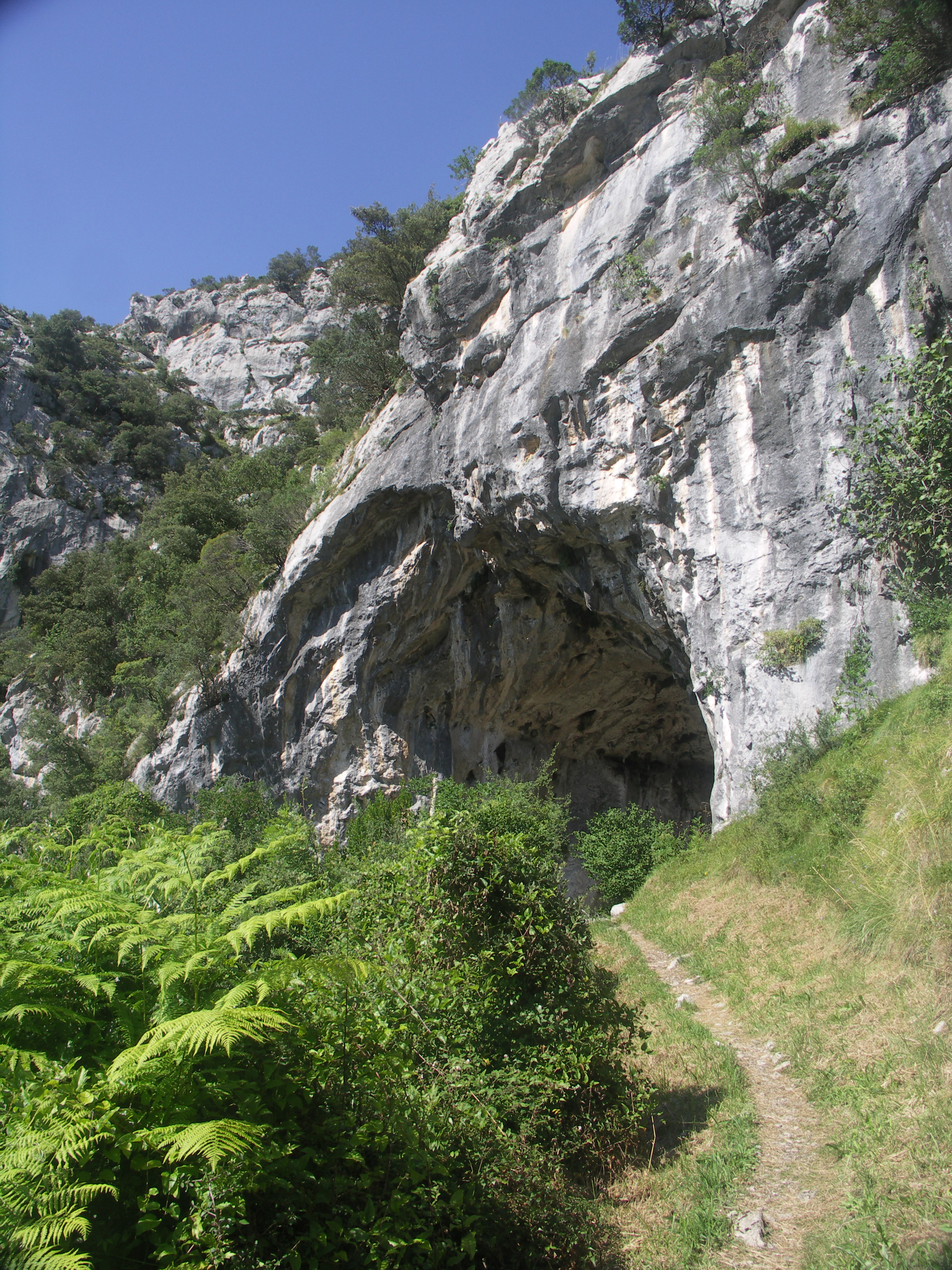 Entrance to El Miron cave in Cantabria, Spain. Entrance El Miron