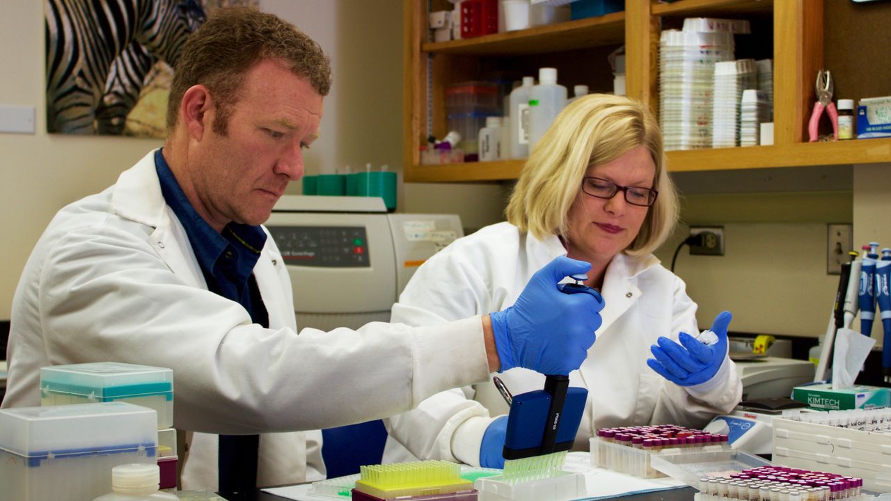 A desert university’s deep connection to the jungle | UNM UCAM Newsroom