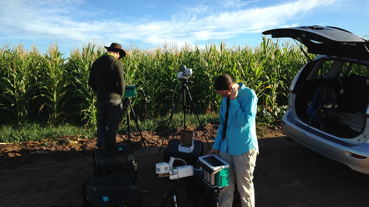 Plant Function Testing